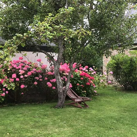 Charmante Maison 3* Pres De La Plage, Jardin Prive, Wifi, Ideale Pour Decouvrir La Cote De Granit Rose - Fr-1-542-59 トレガステル